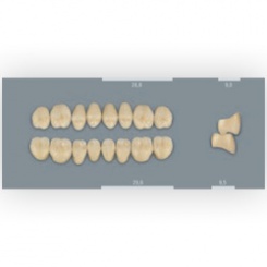 Vita zuby MFT 3R2,5 PU29 (A3,5) zadní horní 8ks